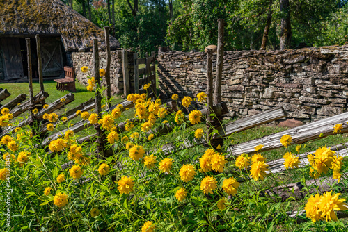 Views around the Estonian Island of Saaremaa photo