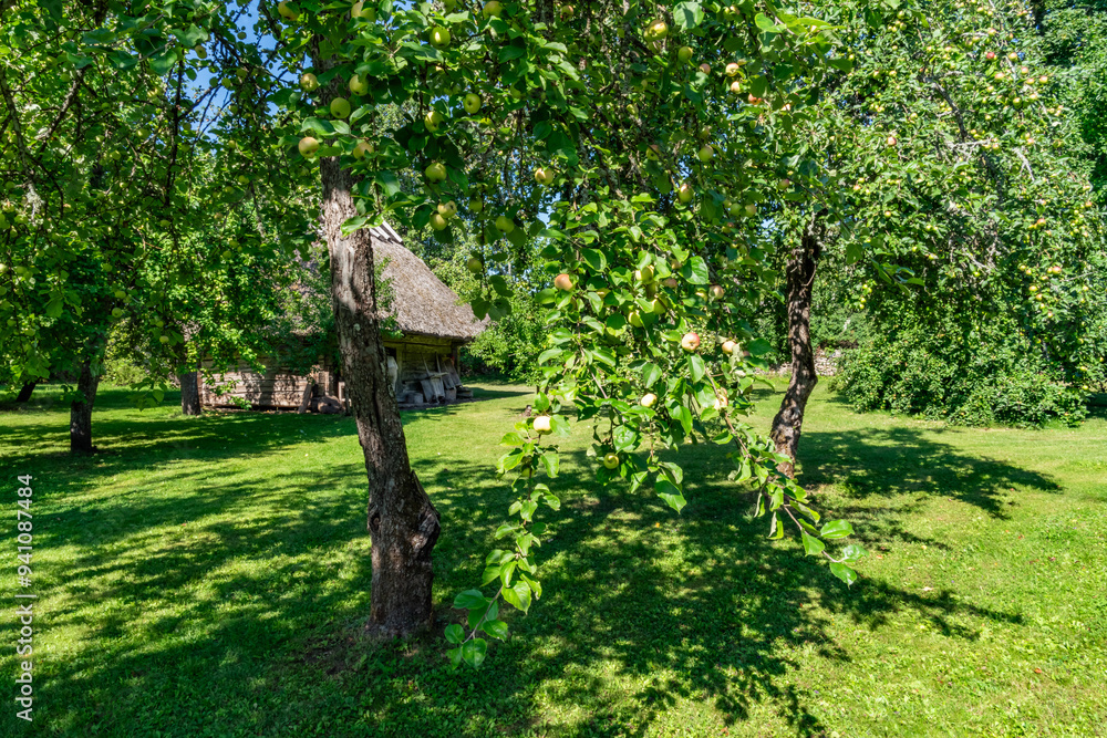 Fototapeta premium Views around the Estonian Island of Saaremaa