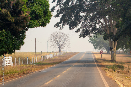 Uma rodovia asfaltada e ladeada por árvores frondosas em um dia triste e enfumaçado. photo