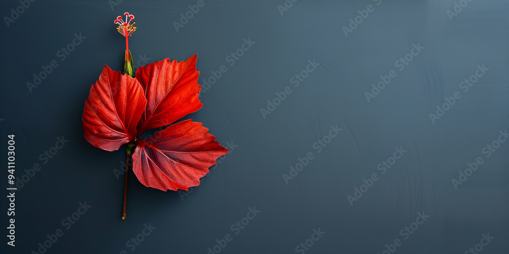 Elegant-Red-Leaf-on-Subtle-Gray-Backdrop Elegant-Red-Leaf-on-Subtle-Gray-Backdrop
