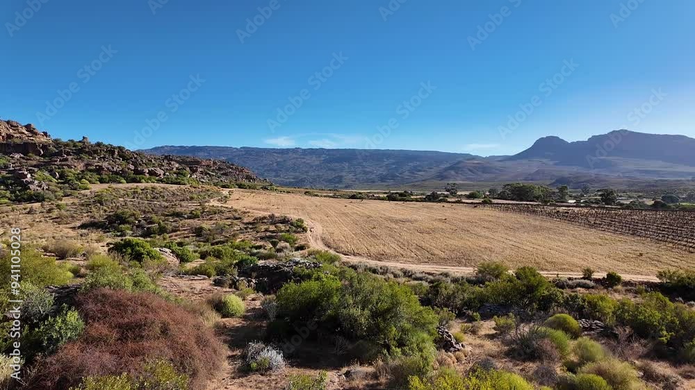 Clanwilliam Cedarberg South Africa. 27.03.2024. Video. Rocklands region and the Agter Pakhuis valley in the Cedarberg area with post harvest wheat aand vines growing. Clanwilliam Cedarberg South Africa. 27.03.2024. Video. Rocklands region and the Agter Pakhuis valley in the Cedarberg area with post harvest wheat aand vines growing.