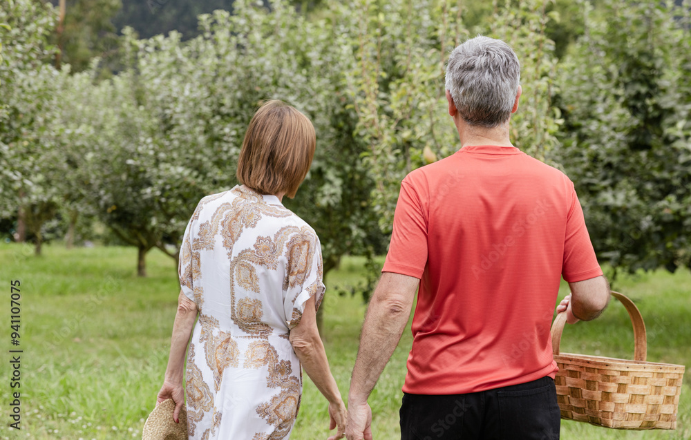 Naklejka premium Middle-aged couple walking to harvest fruit in their garden.
