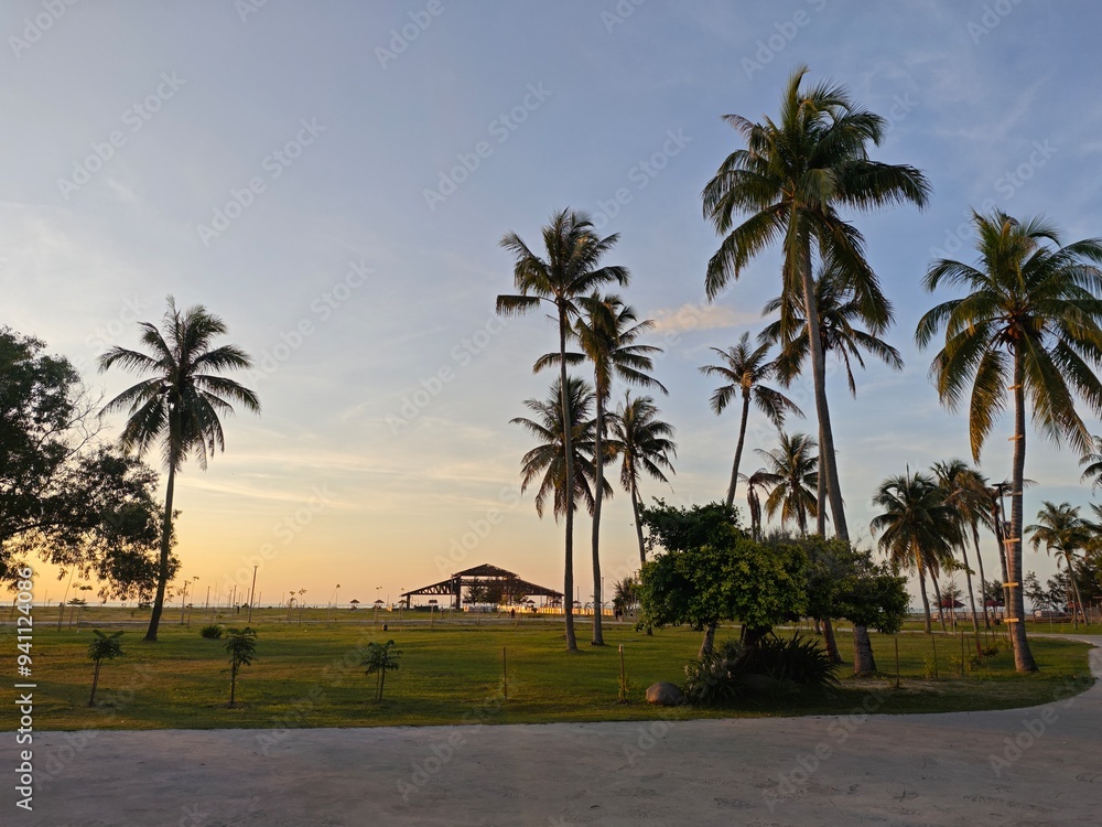 Fototapeta premium palm trees at sunset