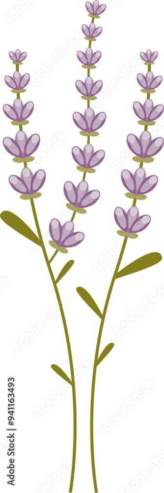 Naklejka premium Illustration of three lavender sprigs with purple flowers and green stems, symbolizing calmness and natural beauty.