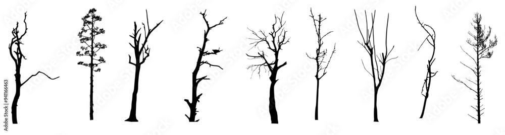 Bare Spooky Tree Silhouette Bare Spooky Tree Silhouette