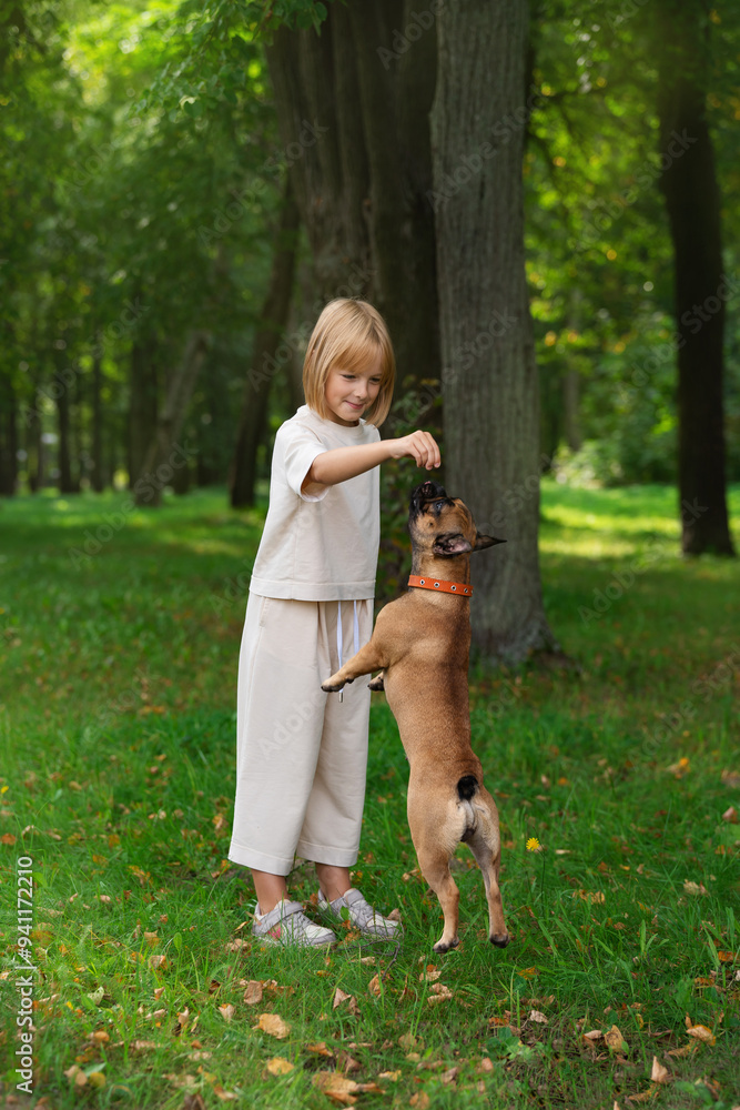 Fototapeta premium a girl walks with a pug dog in the park