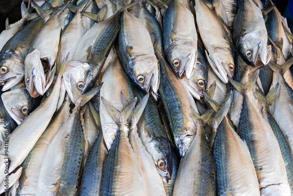 Obraz premium Fresh mackerel large quantities in fishery market, ready for sale to customers.