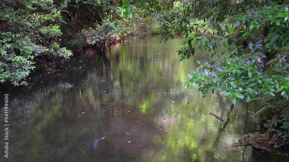 Beautiful reservoir that forms the river among the lush vegetation of the forest, Taramundi, Asturias. Beautiful reservoir that forms the river among the lush vegetation of the forest, Taramundi, Asturias.
