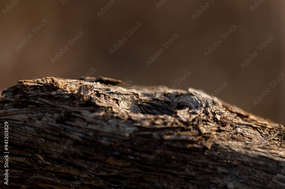 Spring Vineyard Champagne Landscape Spring Vineyard Champagne Landscape