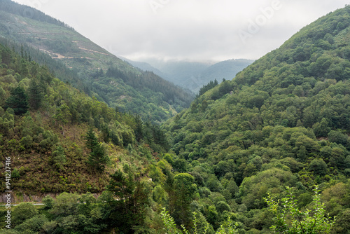 Mountainous landscape with lush vegetation in the interior of Asturias, Spain.