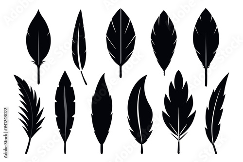 Feathers Icon Set