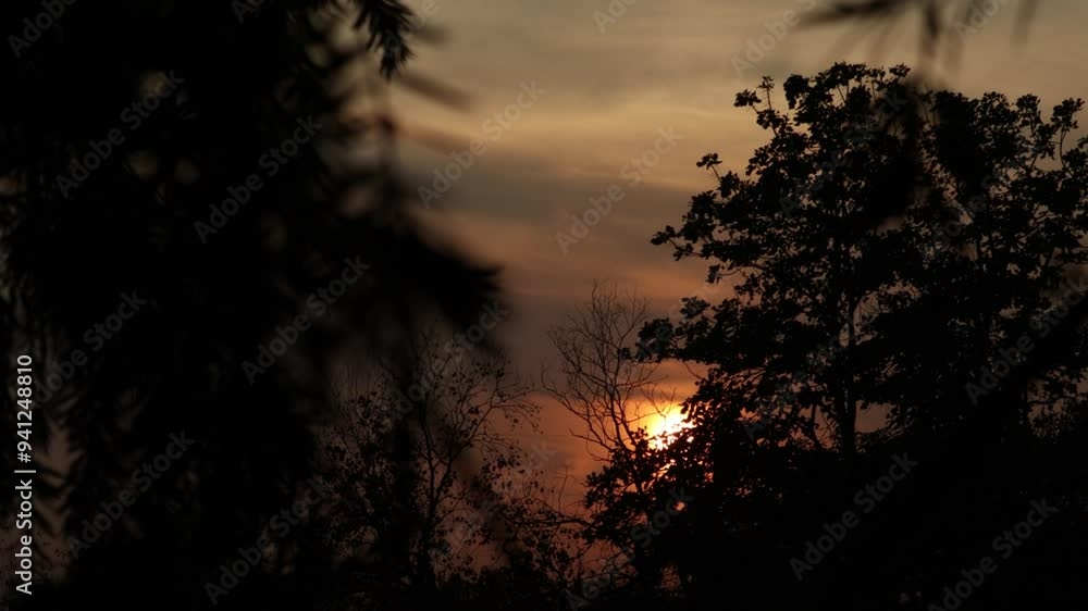 4k Time lapse of the sunset, dramatic background, scenic nature. sun moving behind the trees. 4k Time lapse of the sunset, dramatic background, scenic nature. sun moving behind the trees.