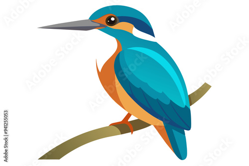 eautiful kingfisher sitting on the single branch vector art illustration photo