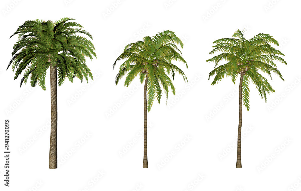Obraz premium Coconut and palm tree 3D set of 3