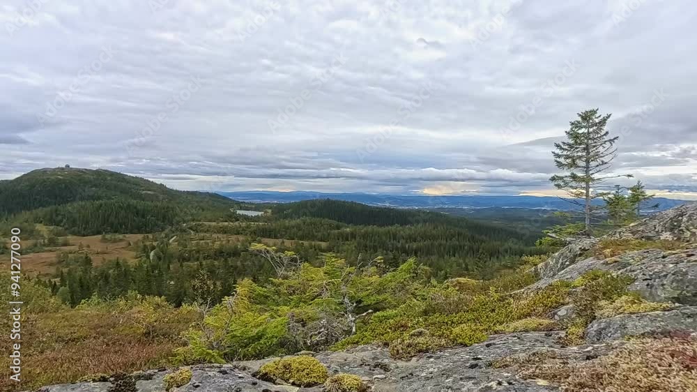Timelapse from the top of Storheian, Bymarka, Trondheim, Norway Timelapse from the top of Storheian, Bymarka, Trondheim, Norway