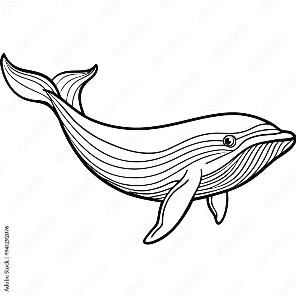 Whale Cartoon Style Vector on White Background | Animal Illustration, Cute Clip Art Whale Cartoon Style Vector on White Background | Animal Illustration, Cute Clip Art