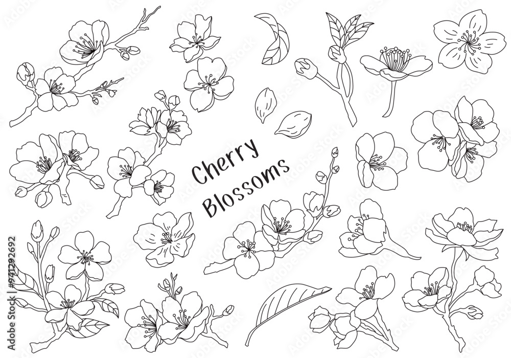 Set of cherry blossom black and white line elements vector illustration Set of cherry blossom black and white line elements vector illustration