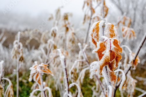 Winter nature of the Urals