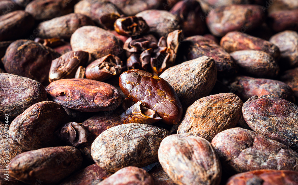 Cocoa beans background, close-up of cocoa bean, dried broken cocoa beans Cocoa beans background, close-up of cocoa bean, dried broken cocoa beans