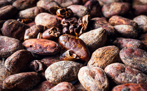 Cocoa beans background, close-up of cocoa bean, dried broken cocoa beans