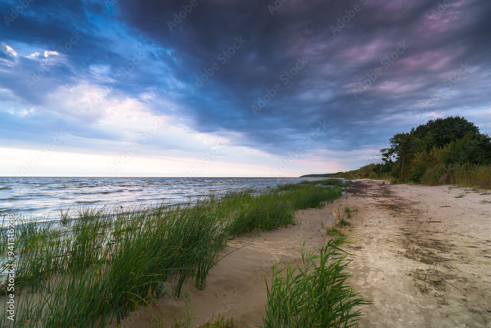 Fototapeta premium path to the beach