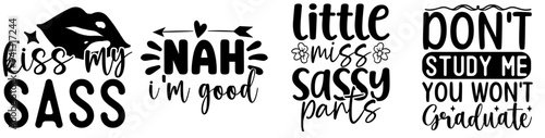Minimalist Sassy Quotes, Typographic Emblems Collection Vector Illustration for Advertising, Motion Graphics, Flyer
