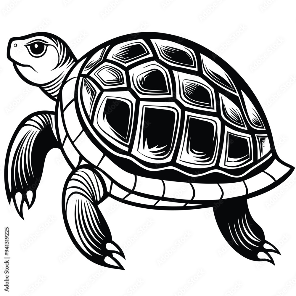 Cute Turtle Cartoon Style Vector Illustration on White Background | Adorable Turtle Design for Kids' Art, Clip Art, and Graphics | High-Quality Cartoon Turtle in Vector Format Cute Turtle Cartoon Style Vector Illustration on White Background | Adorable Turtle Design for Kids' Art, Clip Art, and Graphics | High-Quality Cartoon Turtle in Vector Format