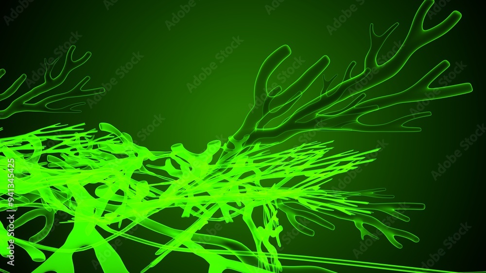 Greece and Halkidiki anatomy. 3d illustration Greece and Halkidiki anatomy. 3d illustration