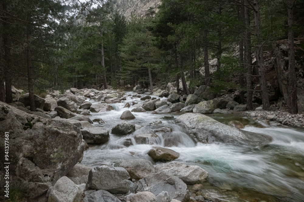 Obraz premium Restonica River near Corte. The fast flowing River Restonica that flows down the very picturesque valley of the same name. On its journey passing through the small town of Corte.