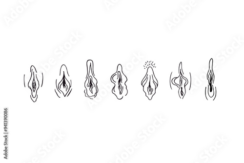 Vulva and clitoris. Hand drawn doodle sketch. Female reproductive system. Vector