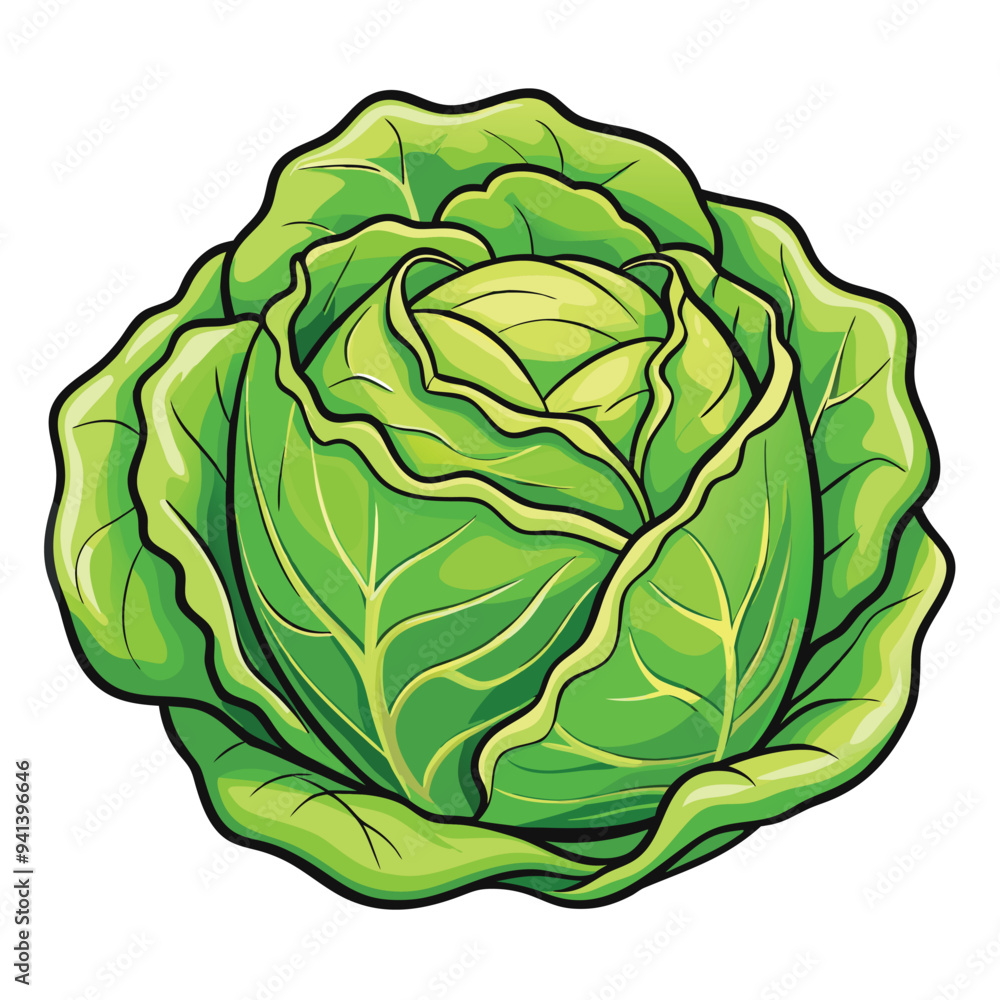 Cabbage Cartoon-Style Vector Illustration in Line Art on White Background – Simple, Clean Design in PNG Format for Healthy Food Icons, Digital Graphics, and Vegetable Illustrations Cabbage Cartoon-Style Vector Illustration in Line Art on White Background – Simple, Clean Design in PNG Format for Healthy Food Icons, Digital Graphics, and Vegetable Illustrations