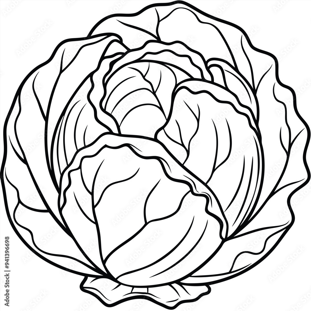 Cabbage Cartoon-Style Vector Illustration in Line Art on White Background – Simple, Clean Design in PNG Format for Healthy Food Icons, Digital Graphics, and Vegetable Illustrations Cabbage Cartoon-Style Vector Illustration in Line Art on White Background – Simple, Clean Design in PNG Format for Healthy Food Icons, Digital Graphics, and Vegetable Illustrations