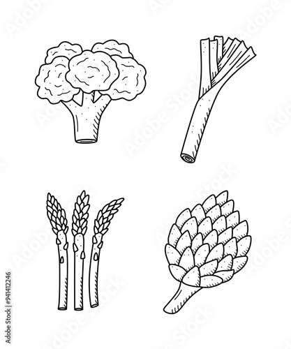 Collection of drawing vegetables in doodle style. A set of vector illustrations of the vegetable harvest