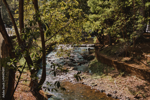 river landscape in the park