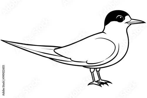 Cute bird of tern bird line art vector art illustration  photo