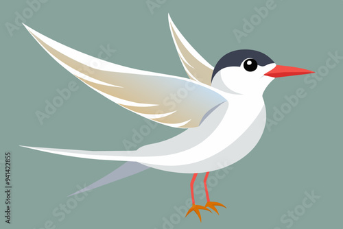 Cute bird of tern bird vector art illustration photo