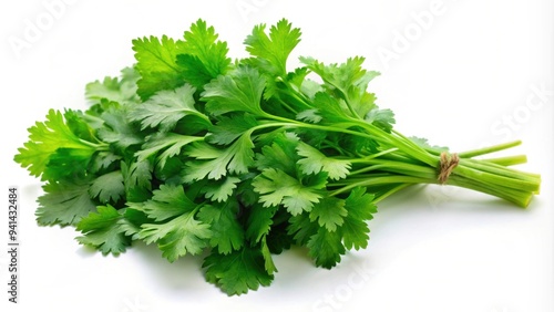 Fresh green coriander leaves on a white background, herbs, foliage, culinary, ingredient, aroma, organic, seasoning