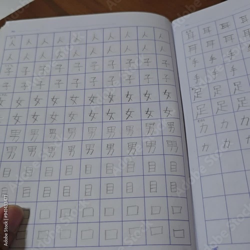 Reading kanji Japanese language book 