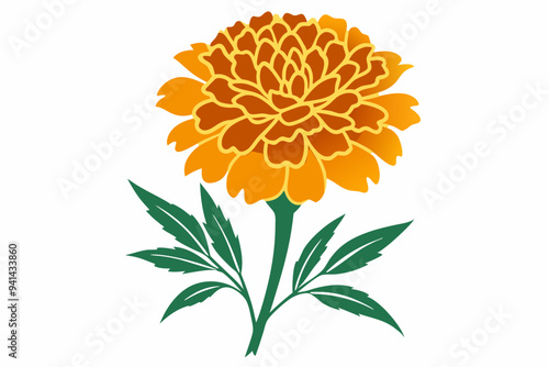 Vector orange marigold flower isolated 