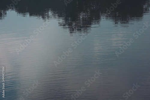 Water texture with reflection of trees in the river. Reflection on the water surface. Reflection of the sky in the lake. 