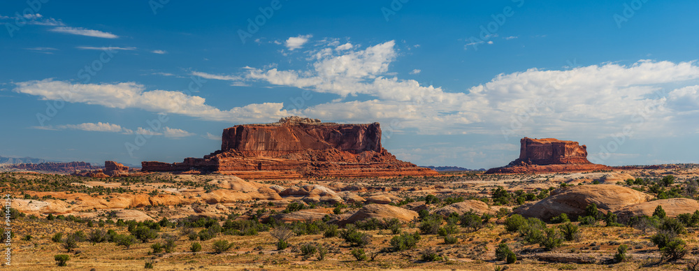 The desert area of red cliffs of the Island in the Sky District of Canyonlands national park in Utah USA.