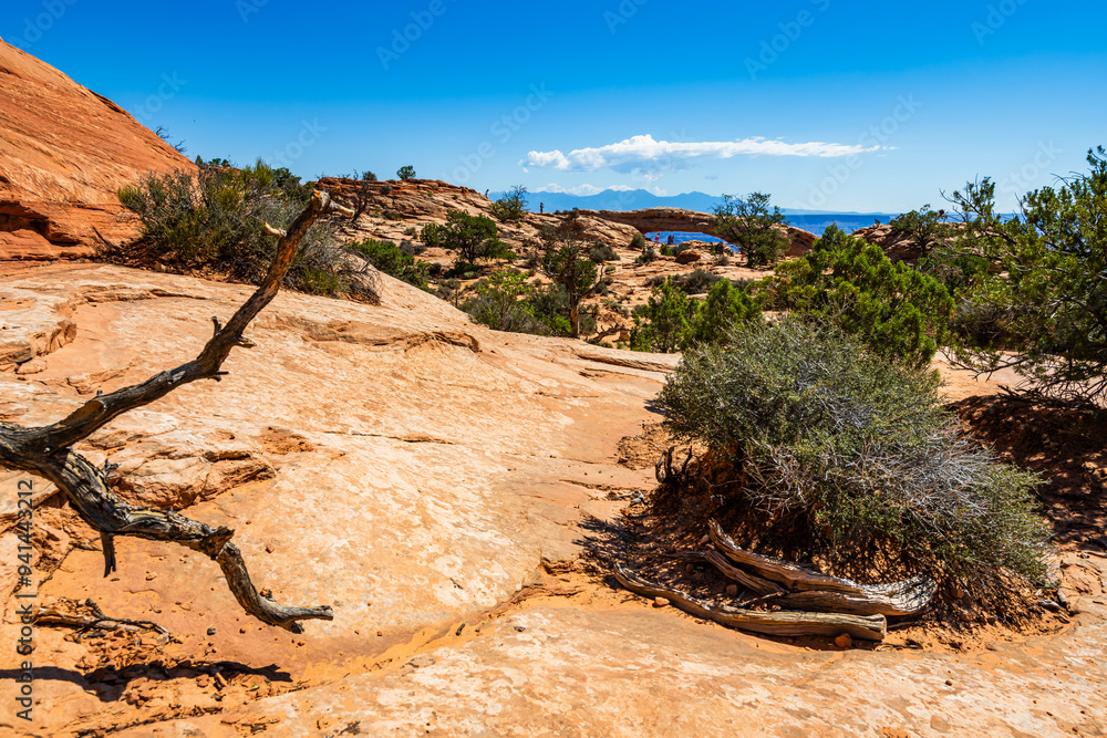 A trail leading towards the Mesa Arch area of the Island in the Sky District of Canyonlands national park in Utah USA.
