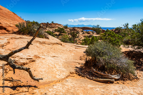 Obraz na płótnie A trail leading towards the Mesa Arch area of the Island in the Sky District of Canyonlands national park in Utah USA. w salonie