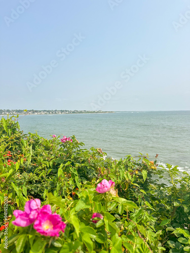 Flowers by the Ocean