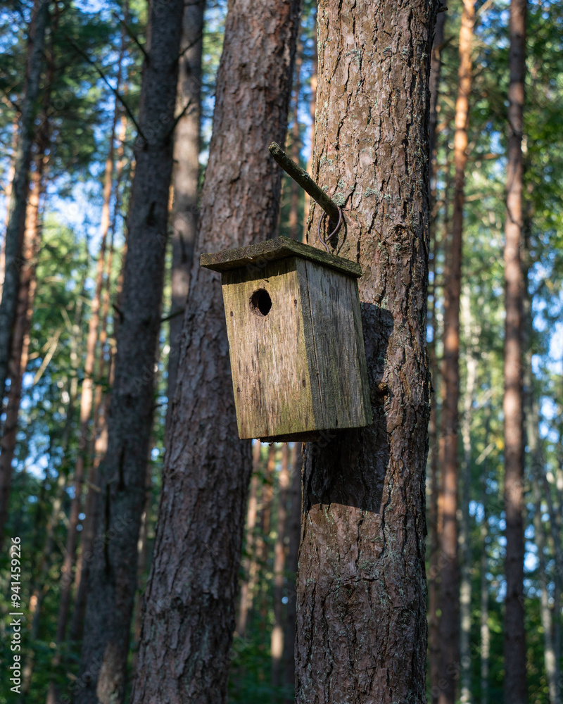 an old abandoned bird nesting box hanging on a tree trunk an old abandoned bird nesting box hanging on a tree trunk