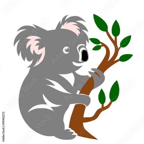 Photography koala on the branch