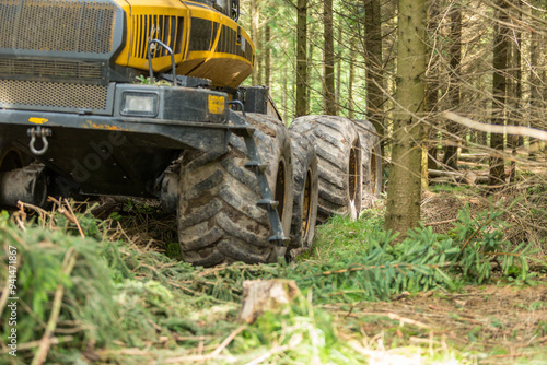 Forestry machine when thinning spruce forest photo