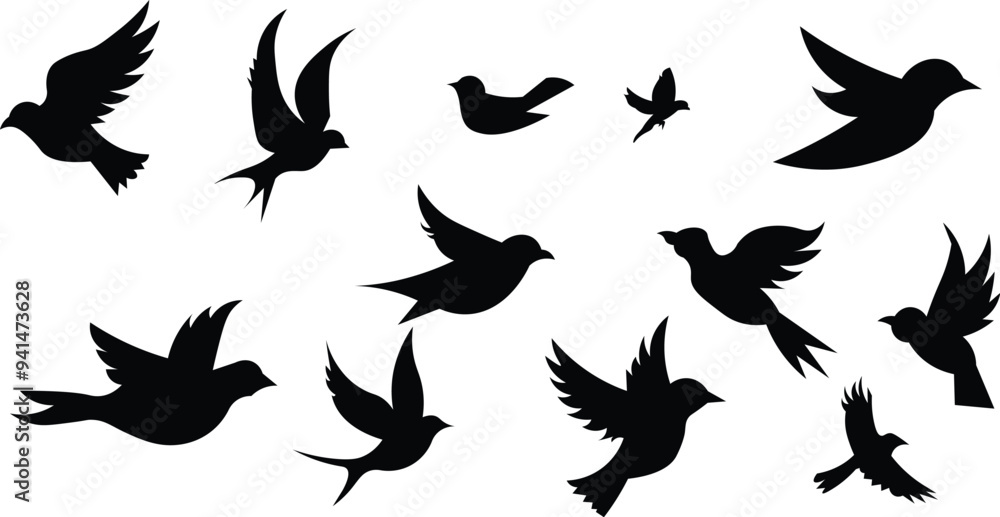 Collection of flying bird silhouettes. Collection of bird silhouettes. vector eps10 Collection of flying bird silhouettes. Collection of bird silhouettes. vector eps10