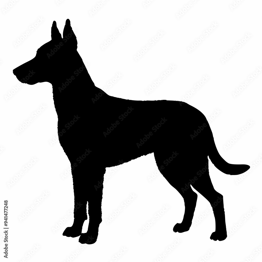 Dog Breeds Silhouette Svg Bundle, Dog Breed Svg, Dog Silhouette Dog Breeds Silhouette Svg Bundle, Dog Breed Svg, Dog Silhouette