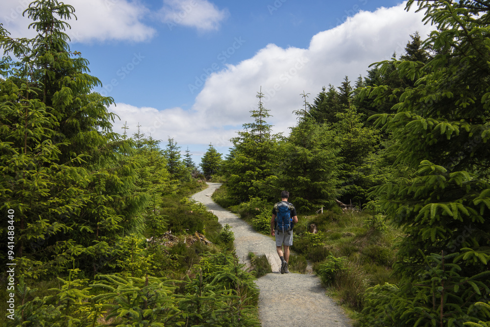 Back view of a backpacker hiking on a forest trail in the lush Wicklow mountains, Ireland, Europe Back view of a backpacker hiking on a forest trail in the lush Wicklow mountains, Ireland, Europe